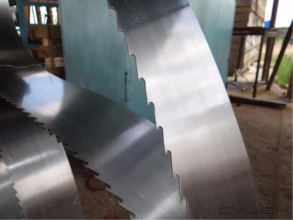 La imagen 1 de la Empresa JJ DISTRIBUIDORA MÉXICO