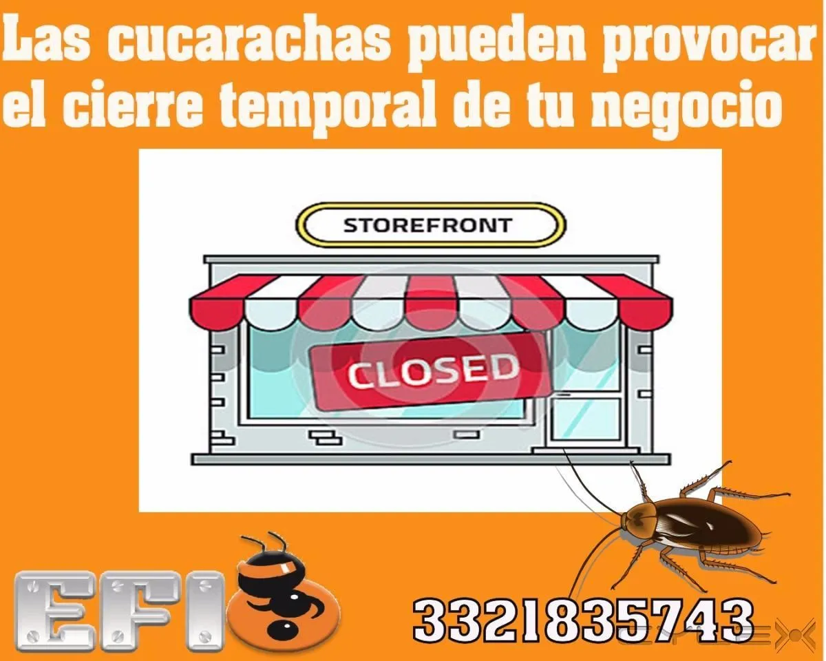 La imagen 4 de la Empresa EFI FUMIGACIONES