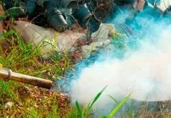 La imagen 3 de la Empresa FUMIGACIONES QUINTANA