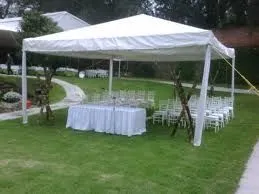 La imagen 5 de la Empresa SUPER FIESTAS QUERETARO