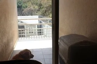 La imagen 3 de la Empresa PET ENTERTAINMENT CENTER