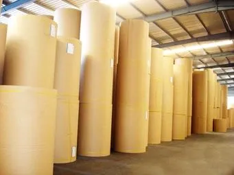 La imagen 4 de la Empresa TECNOLOGÍA EN EMPAQUES COMERCIALES