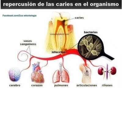 La imagen 2 de la Empresa ARTE DENTAL ESSEX