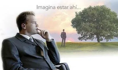 La imagen 1 de la Empresa LANDSCAPE MINI PAISAJES