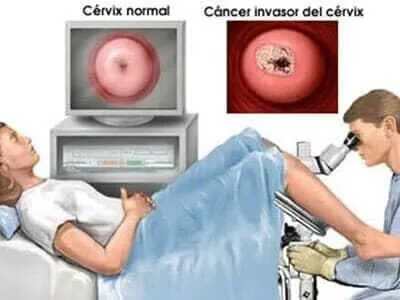 La imagen 2 de la Empresa GYNEKITO