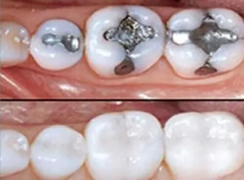 La imagen 2 de la Empresa WORLD SMILE