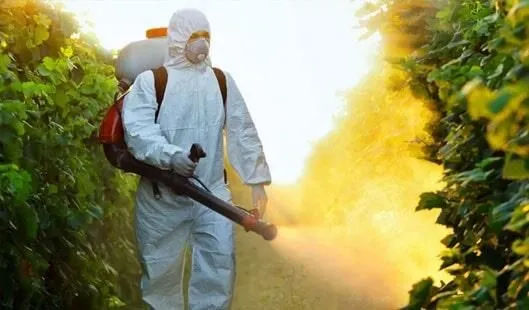 La imagen 2 de la Empresa FUMIGACIONES DE FRESNILLO