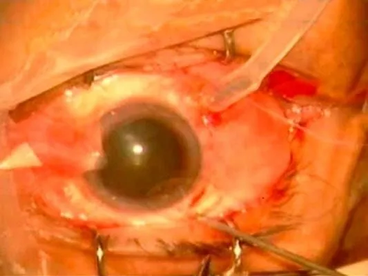 La imagen 3 de la Empresa DR. JOSÉ MANUEL GONZÁLEZ MALDONADO