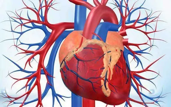 La imagen 3 de la Empresa DR. ALFONSO RANGEL CONTRERAS