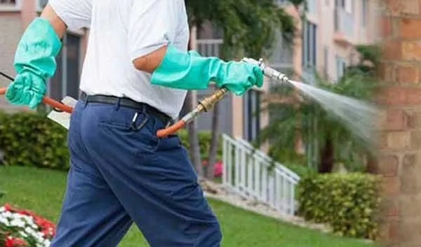 La imagen 1 de la Empresa FUMIGACIONES SUPERNOVA