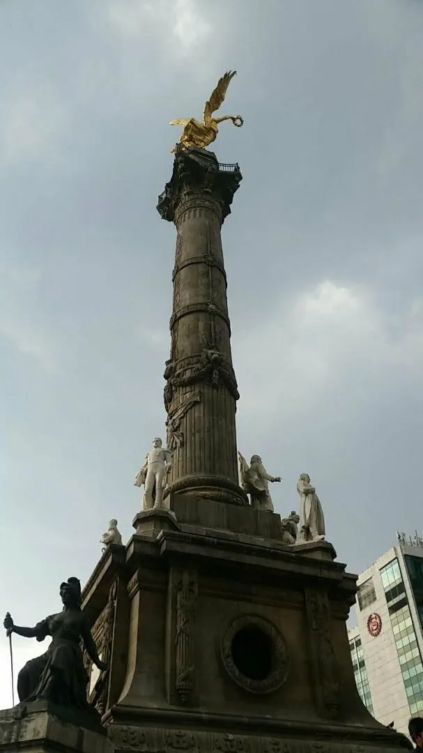 La imagen 99 de la Empresa FOTO PLAZA SA DE CV