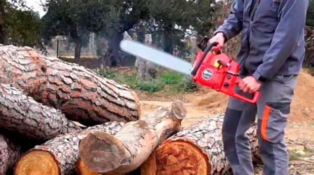 La imagen 3 de la Empresa MOTOSIERRAS Y SERVICIO DEL PUERTO