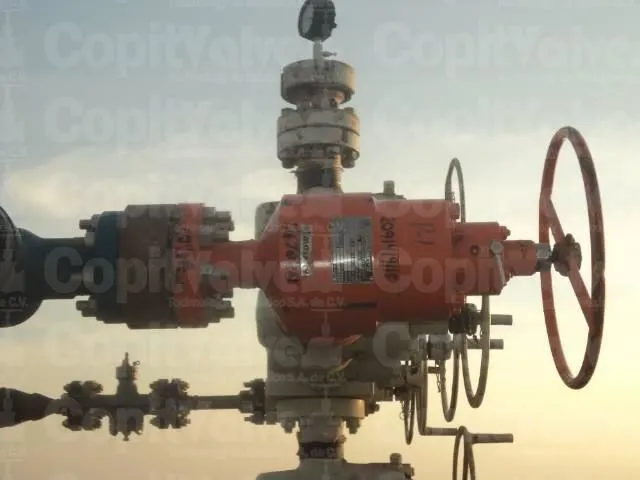 La imagen 3 de la Empresa COPIT VALVES TECHNOLOGY DE MEXICO S.A. DE C.V.