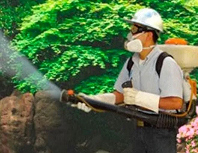 La imagen 1 de la Empresa FUMIGACIONES PROFESIONALES TARAHUMARA