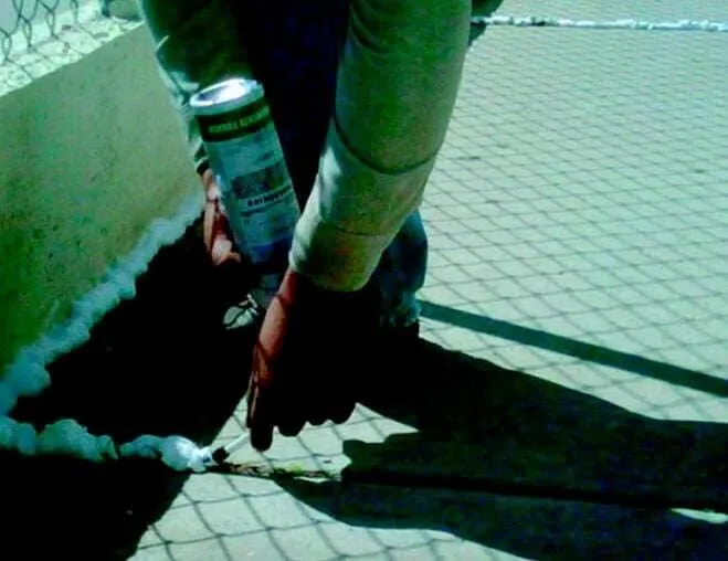 La imagen 3 de la Empresa FUMIGACIONES PROFESIONALES TARAHUMARA