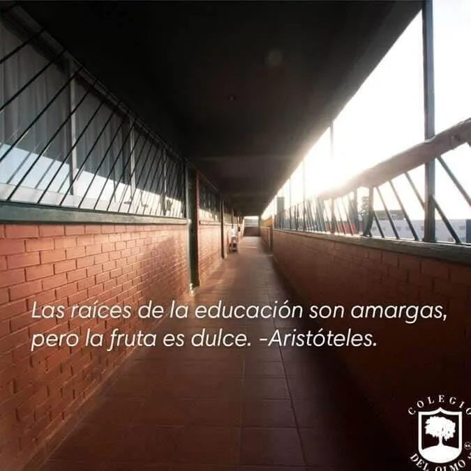 La imagen 1 de la Empresa COLEGIO DEL OLMO A.C.