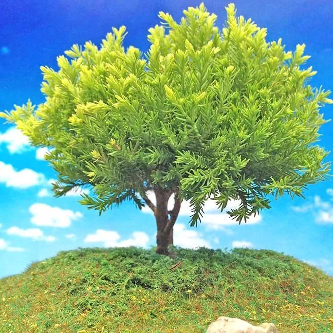 La imagen 3 de la Empresa LANDSCAPE MINI PAISAJES