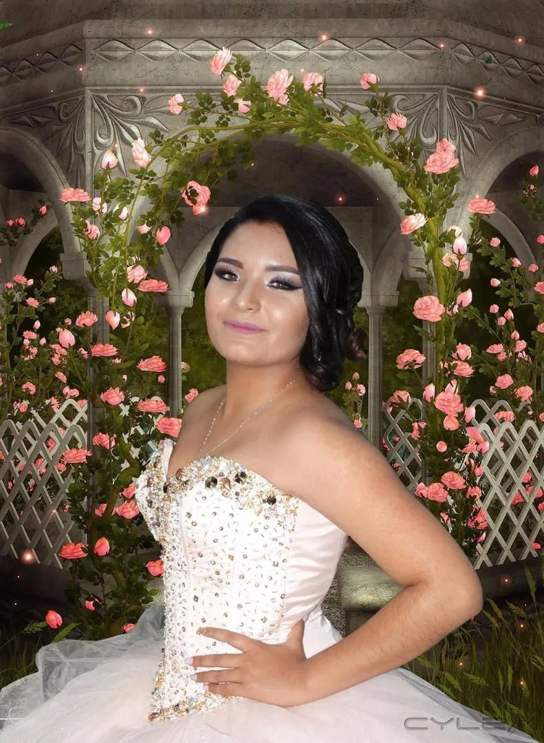 La imagen 2 de la Empresa TRANSFERENCIA CYBERTEC