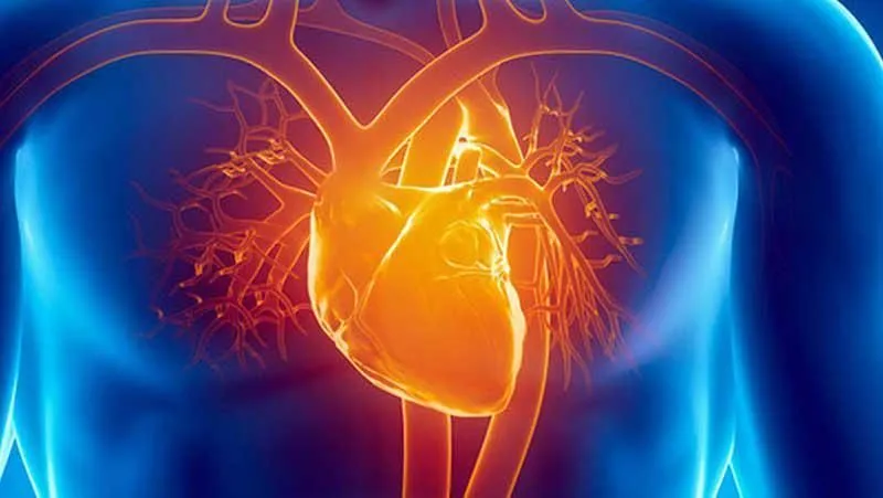 La imagen 1 de la Empresa DR. ALFONSO RANGEL CONTRERAS