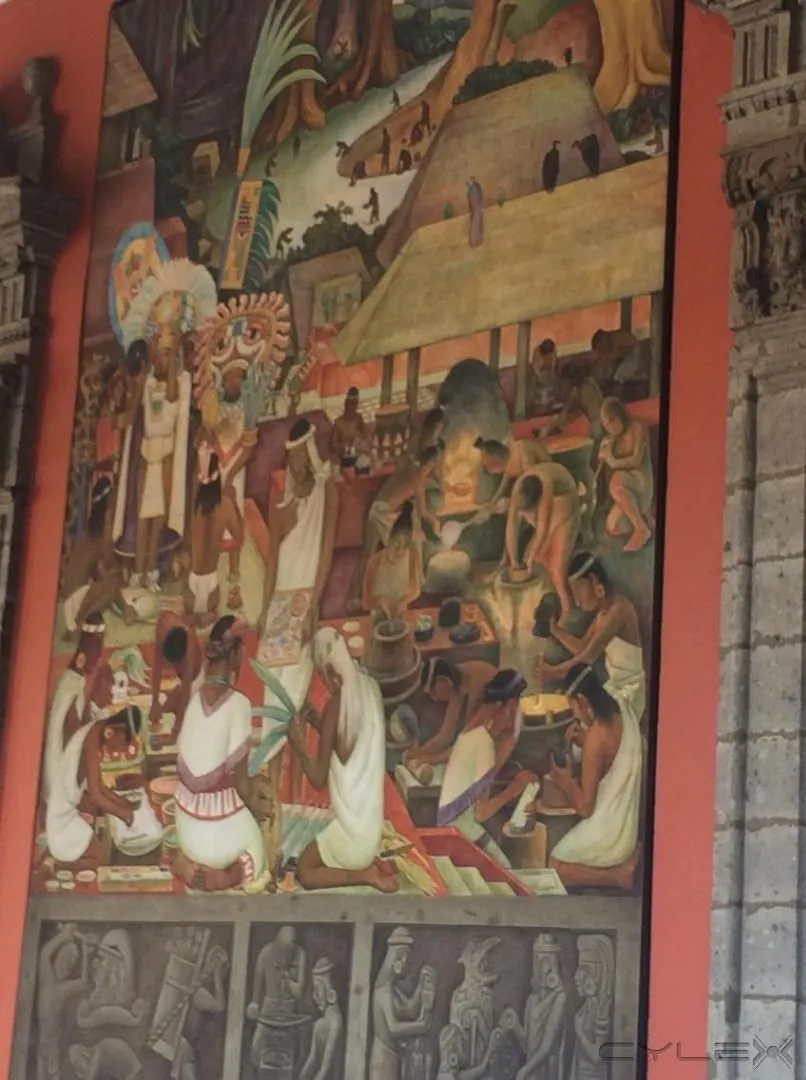 La imagen 80 de la Empresa FOTO PLAZA SA DE CV