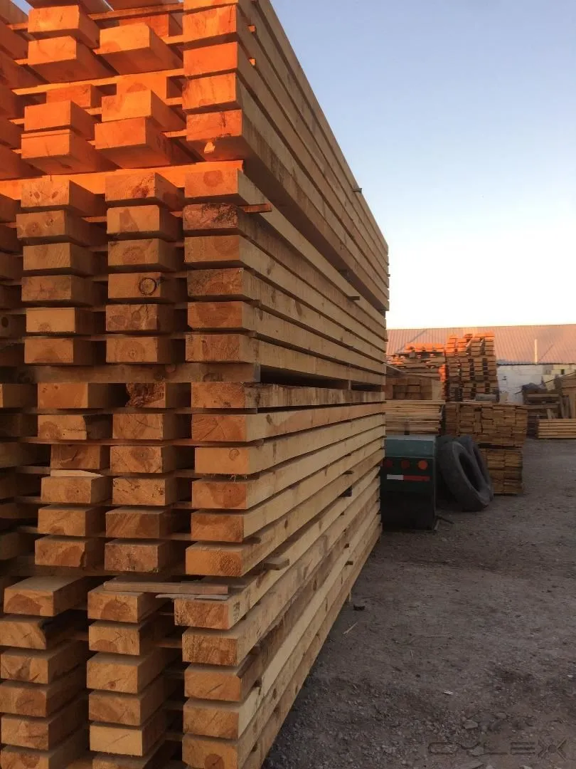 La imagen 1 de la Empresa MADERERIA EL CAMPO