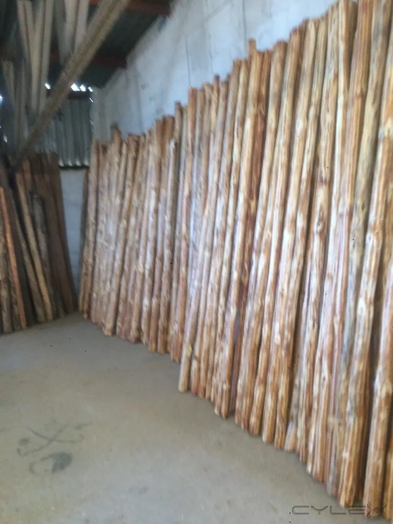 La imagen 7 de la Empresa MADERERIA EL CAMPO