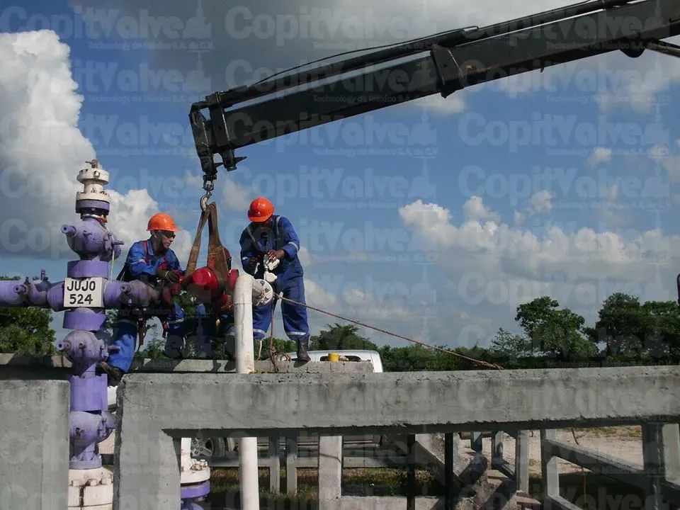 La imagen 6 de la Empresa COPIT VALVES TECHNOLOGY DE MEXICO S.A. DE C.V.