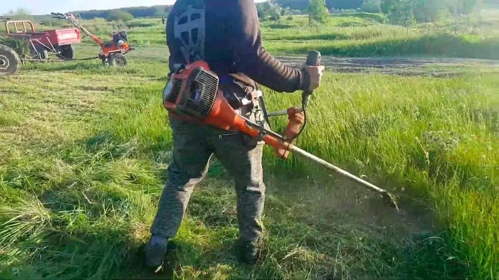 La imagen 1 de la Empresa MOTOSIERRAS Y SERVICIO DEL PUERTO