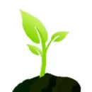 VIVERO DE MORELOS Servicios Profesionales y de Negocios en Cuernavaca MOR