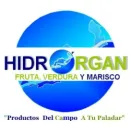 HIDRORGAN DE PRODUCCION RURAL S.C DE R.S DE C.V Servicios Profesionales y de Negocios en Cancún ROO