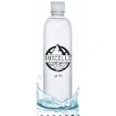 AGUA PURIFICADA ALCALINA RUSCELLO S.A DE C.V. en Guadalajara JAL