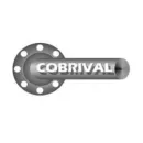 COBRIVAL S.A. DE C.V. Tuberias y accesorios en Ciudad De México CMX