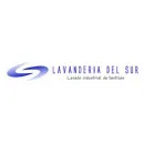 LAVANDERIA DEL SUR, S.A. DE C.V. Tintorerías y lavanderías en Ciudad De México CMX