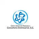 CENTRO INTEGRAL DE NEGOCIOS CONSULTORÍA Servicios Legales y Financieros en Puebla MEX