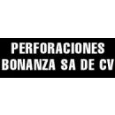 PERFORACIONES BONANZA SA DE CV Servicios Profesionales y de Negocios en Celaya GUA