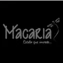 MACARIA ESTILO QUE INVADE Taquerías y Torterías en Cuernavaca MOR