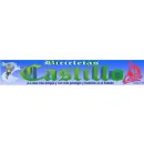 AGENCIA DE BICICLETAS CASTILLO Deportes y Recreación en Irapuato GUA