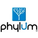 CORPORATIVO PHYLUM Servicios Profesionales y de Negocios en Ciudad De México CMX