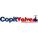COPIT VALVES TECHNOLOGY DE MEXICO S.A. DE C.V. Inmobiliaria y Reformas en Veracruz VER