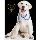 VETERINARIA DE LOS ÁLAMOS CONSULTORIO en Tijuana BCN