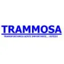 TRANSPORTES MULTY EMPRESARIALES DE MONTERREY, S.A. DE C.V. Concesionarios y Alquiler de Automóviles en Monterrey NLE