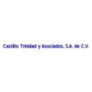 CASTILLO TRINIDAD Y ASOCIADOS Inmobiliaria y Reformas en Cuauhtemoc CHH