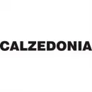 CALZEDONIA Venta de Ropa y Accesorios en Querétaro QUE