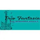 TRÍO FANTASÍA Grupos e Instrumentos Musicales en Queretaro QUE
