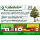 PAPER WASTE RECYCLING MEXICO Servicios Profesionales y de Negocios en Celaya GUA