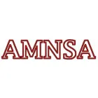 ACEROS Y MAQUINADOS NACIONALES, S.A. AMNSA