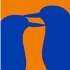 AVEDOS TALLER CREATIVO