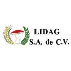 LIDAG, S.A. DE C.V