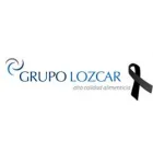 GRUPO LOZ-CAR