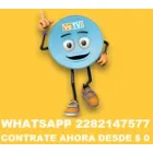 SKY XALAPA, VETV XALAPA, CONTRATACIONES SKY Y VETV